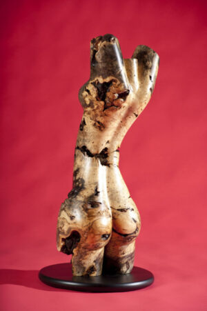 Burl Torso