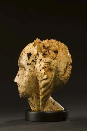 Buckeye Burl Head I-available now