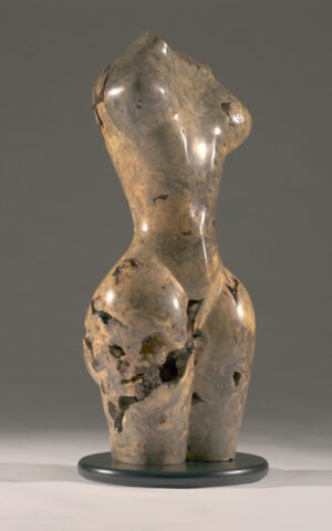 Burl Torso III- available now